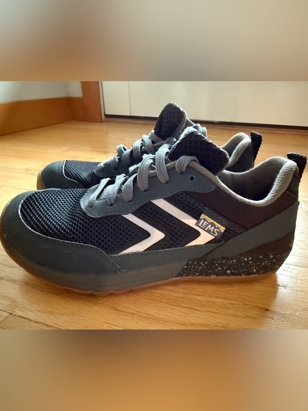 Lems Primal Pursuit shoes